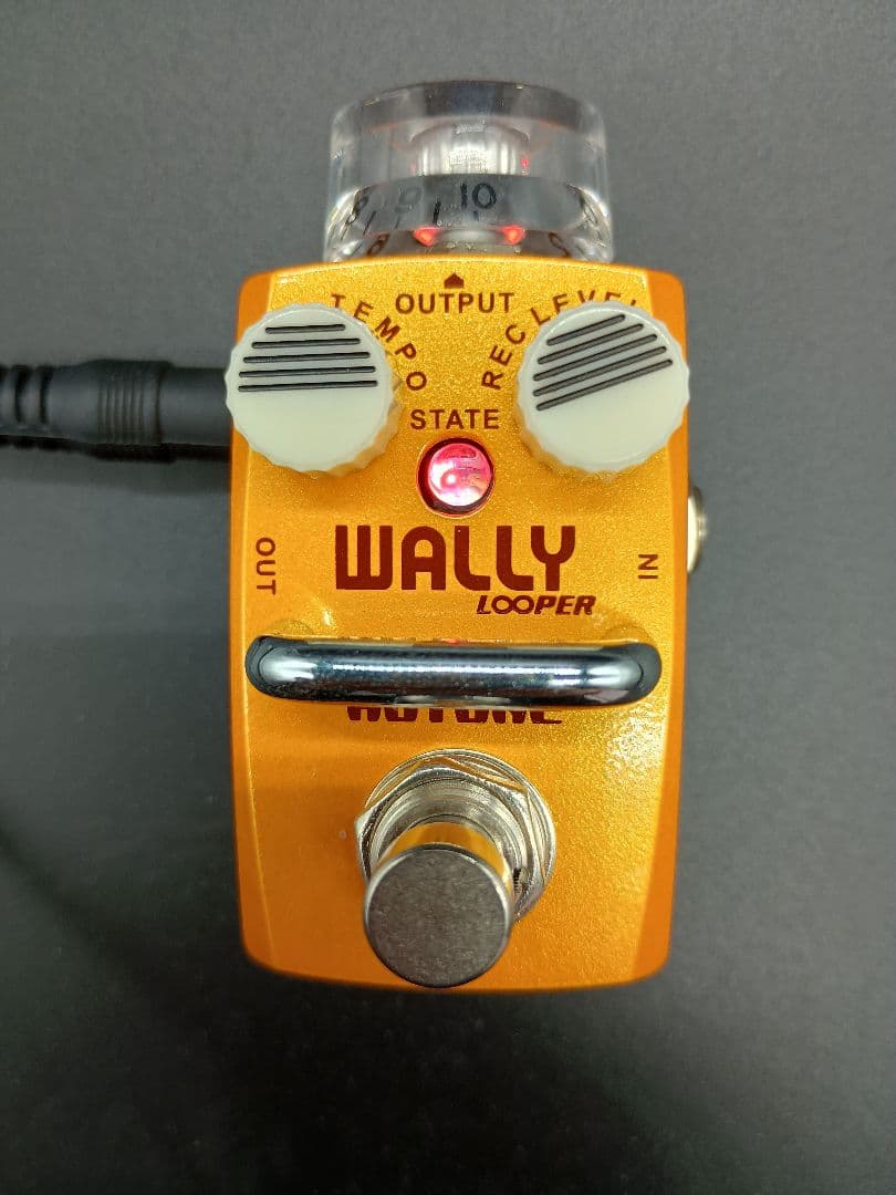 Hotone wally looper ルーパー