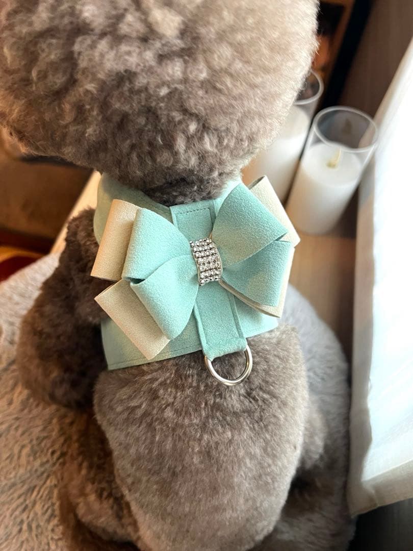 スーザンランシーハーネス＆リードセット サイズM