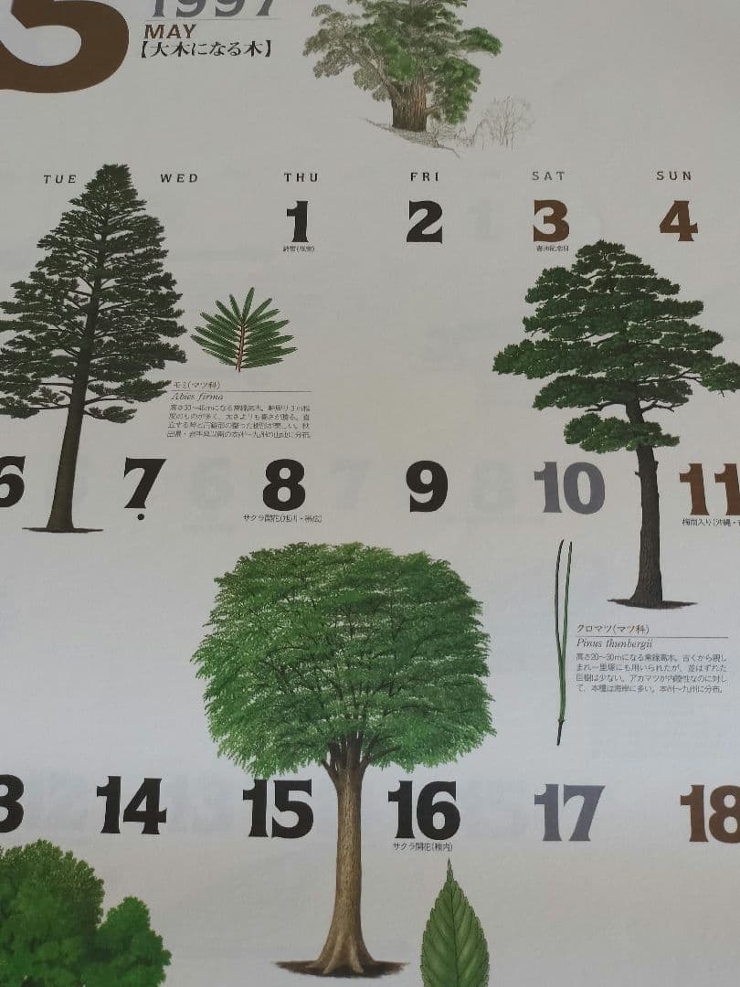 BE-PAL ビーパル カレンダー 新品未使用 1997年　ヴィンテージ