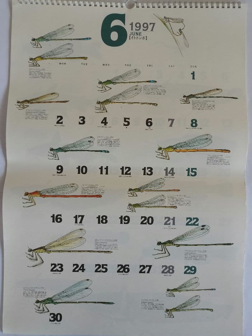 BE-PAL ビーパル カレンダー 新品未使用 1997年　ヴィンテージ