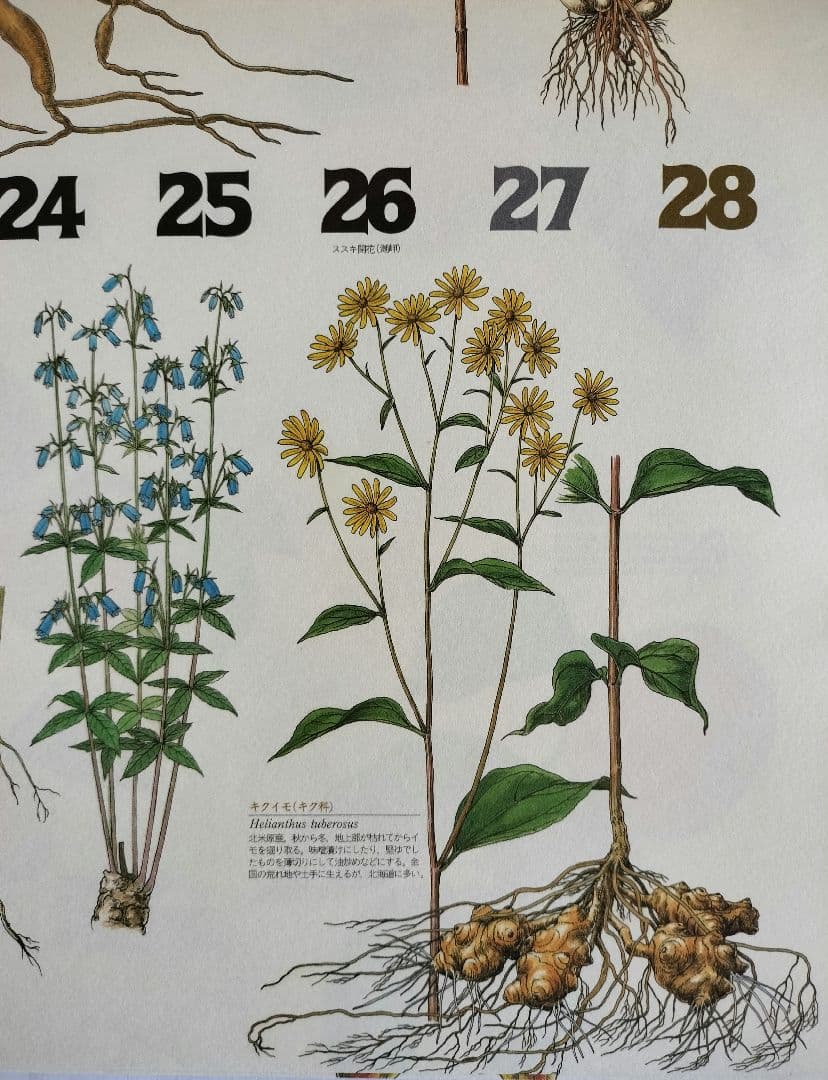 BE-PAL ビーパル カレンダー 新品未使用 1997年　ヴィンテージ