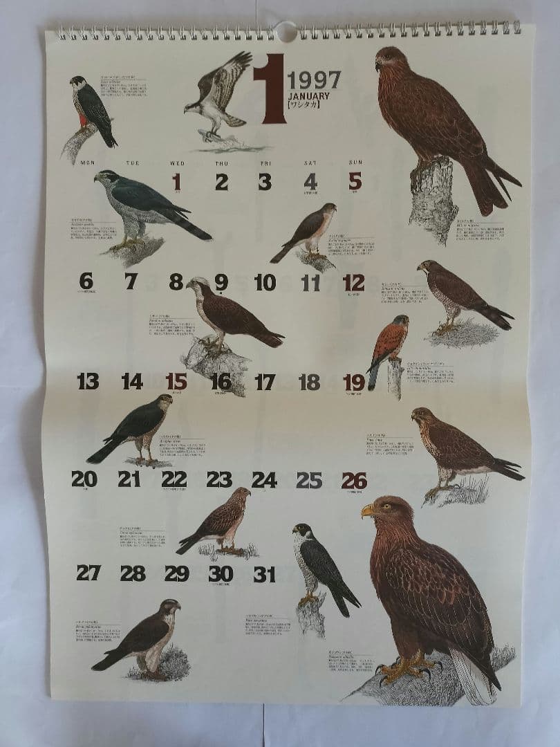BE-PAL ビーパル カレンダー 新品未使用 1997年　ヴィンテージ