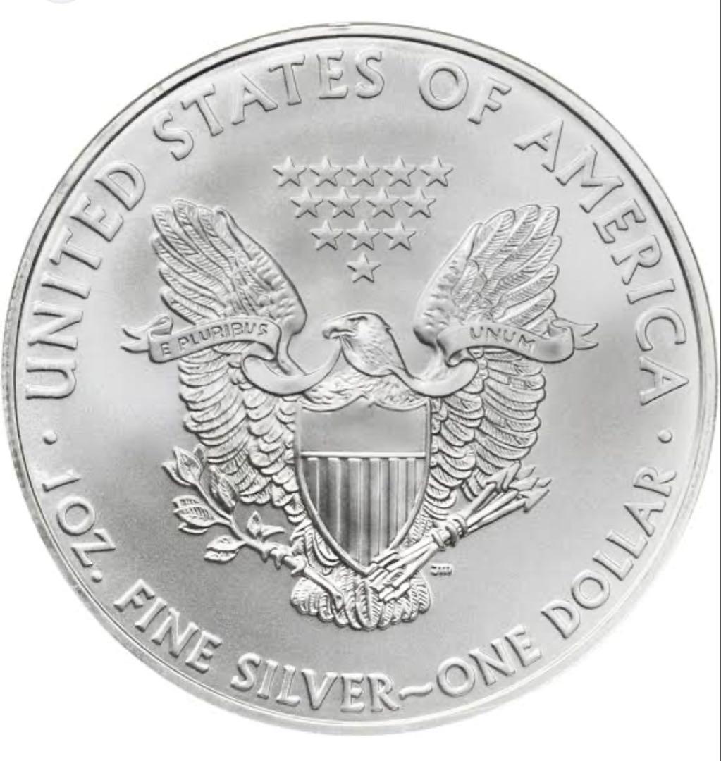 2010年 アメリカ シルバーイーグル 1oz 純銀