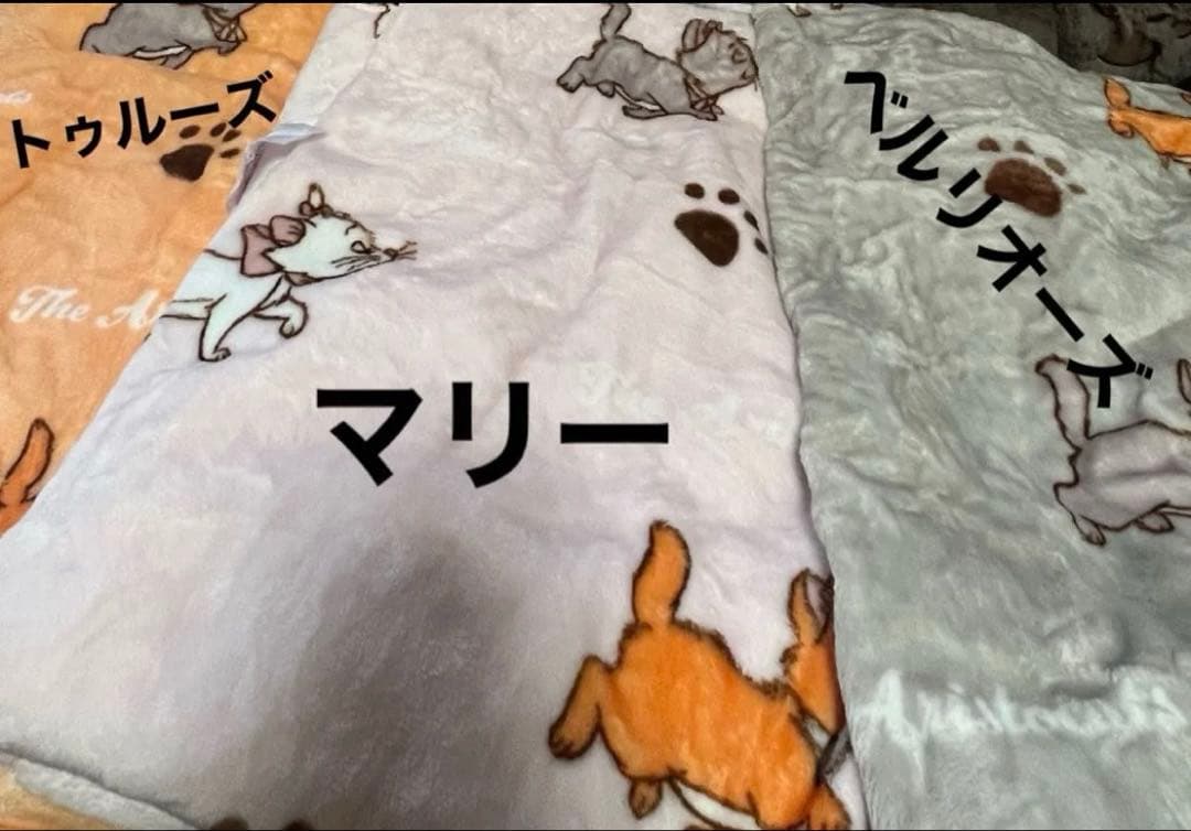 トゥルーズ★ぬいぐるみ★ブランケット付き★約50cm★コストコ★おしゃれキャット