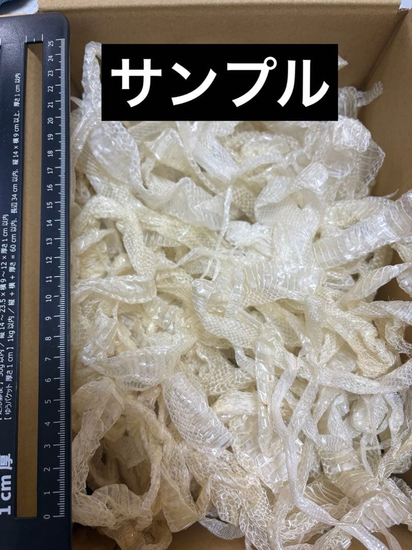 白ヘビの抜け殻