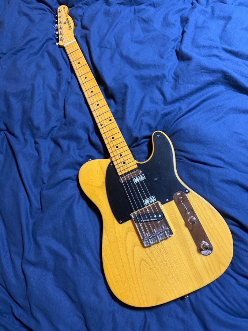 Edwards E-TE-100M/LT テレキャスター ラッカートップ