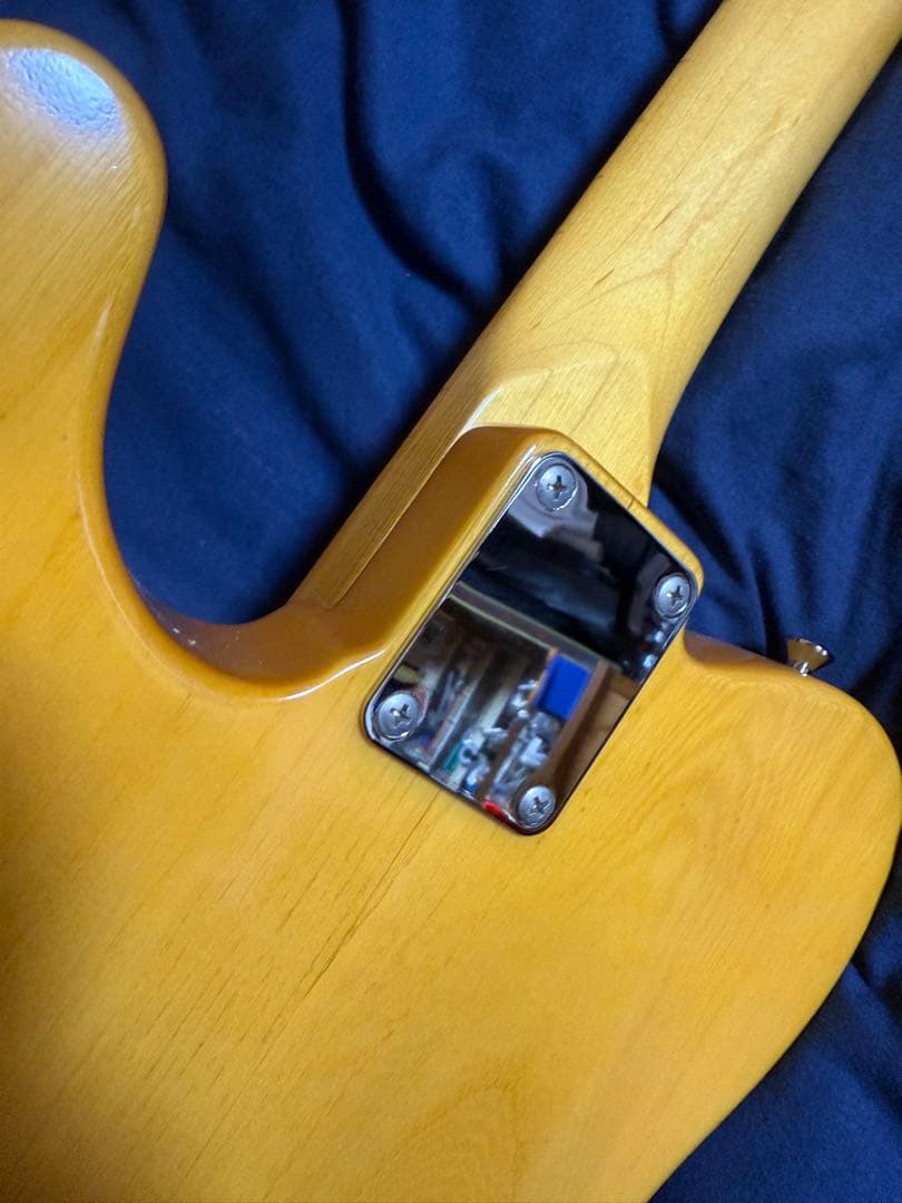 Edwards E-TE-100M/LT テレキャスター ラッカートップ