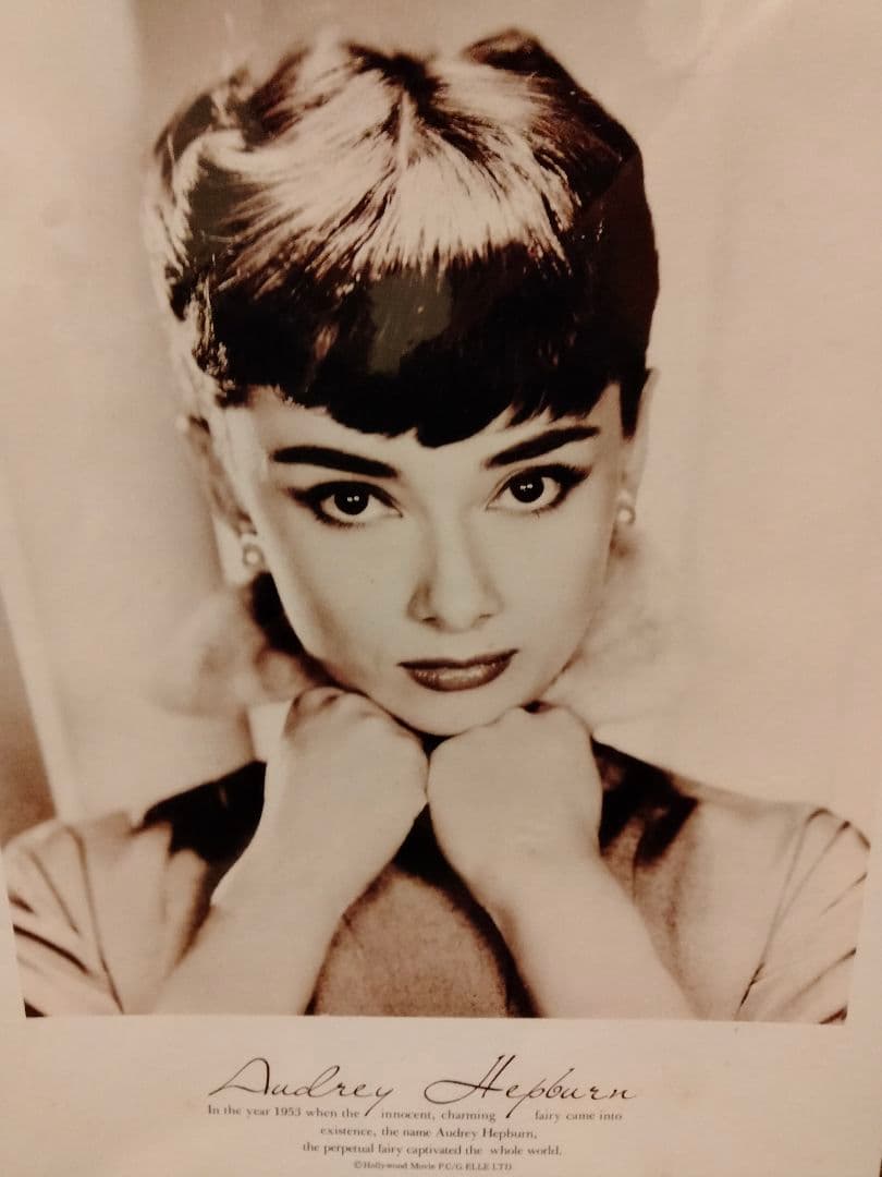 【期間値下げ・激レア・希少品】オードリーヘップバーン　ローマの休日　パズル