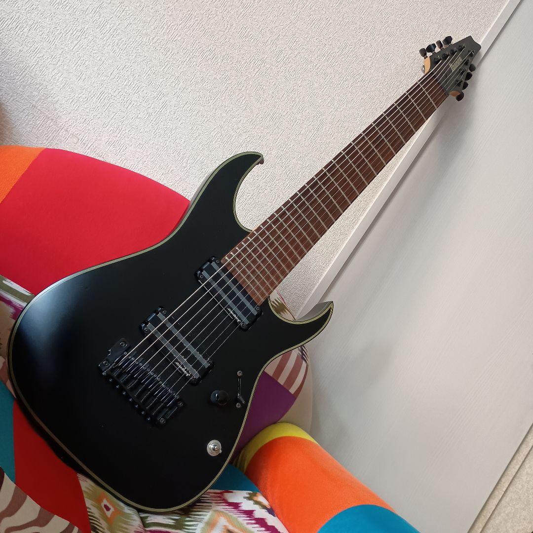 8弦 Ibanez RGIR38BFE strandberg PUに変更
