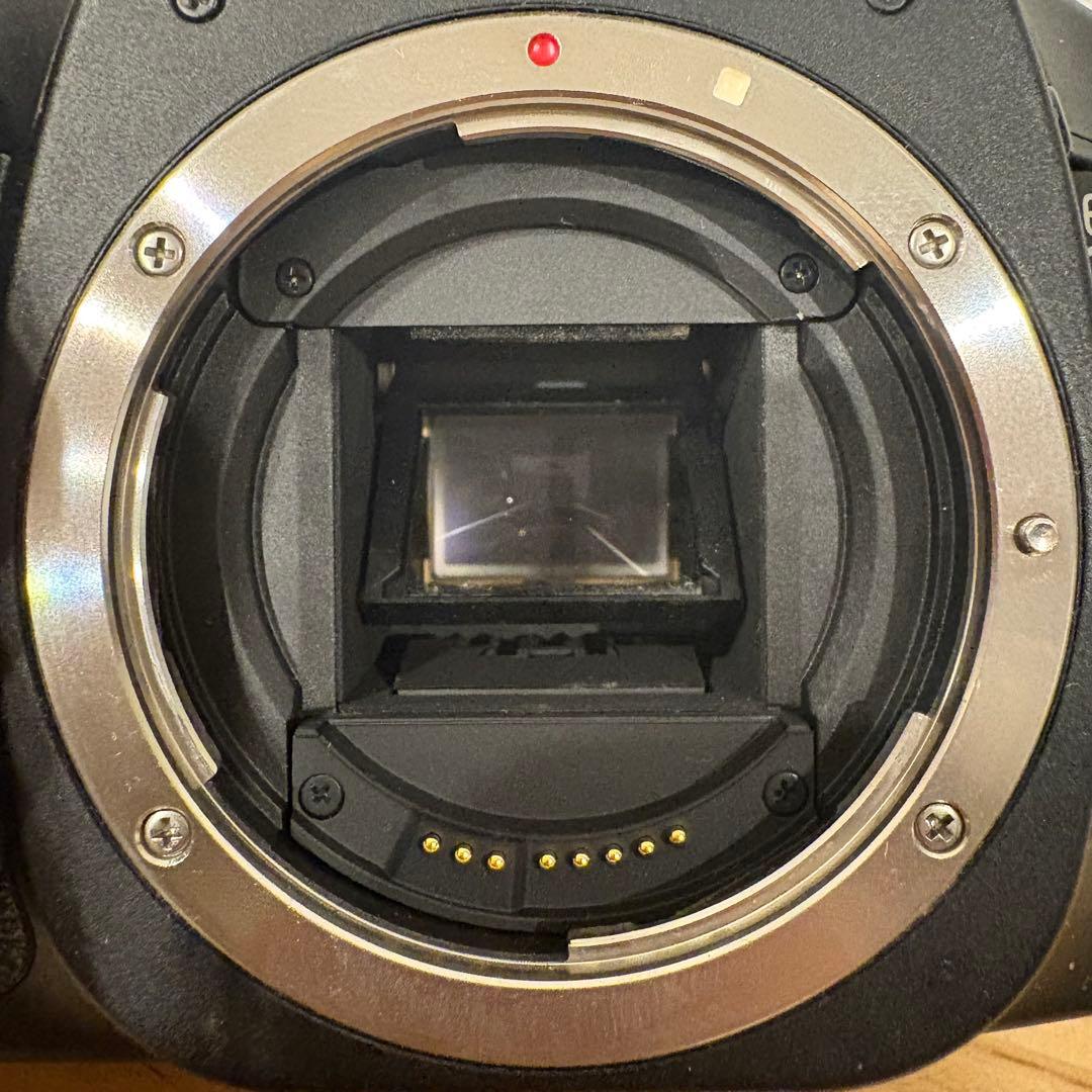 CanonキャノンEOS 30D ボディ/レンズ