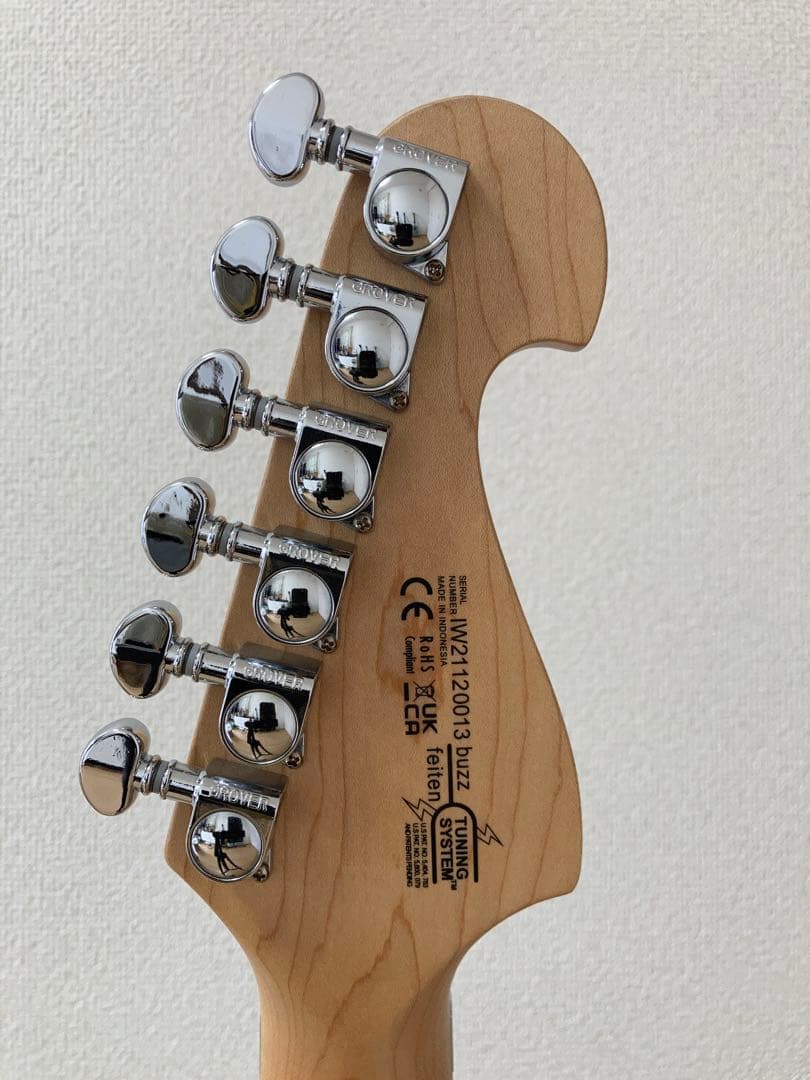 Washburn N2 2021年製