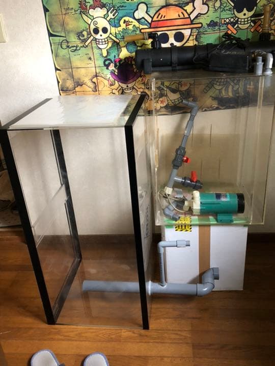 引き取り、90センチ、オーバーフローセット水槽です‼️