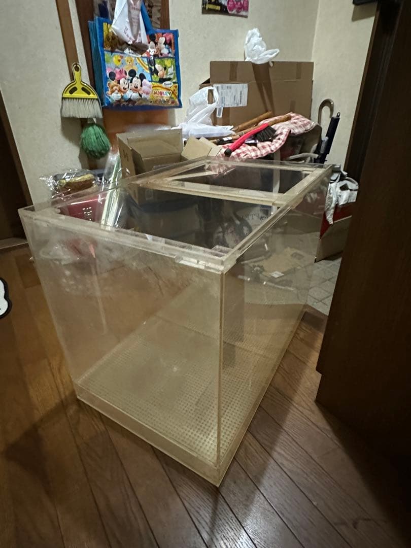 引き取り、90センチ、オーバーフローセット水槽です‼️