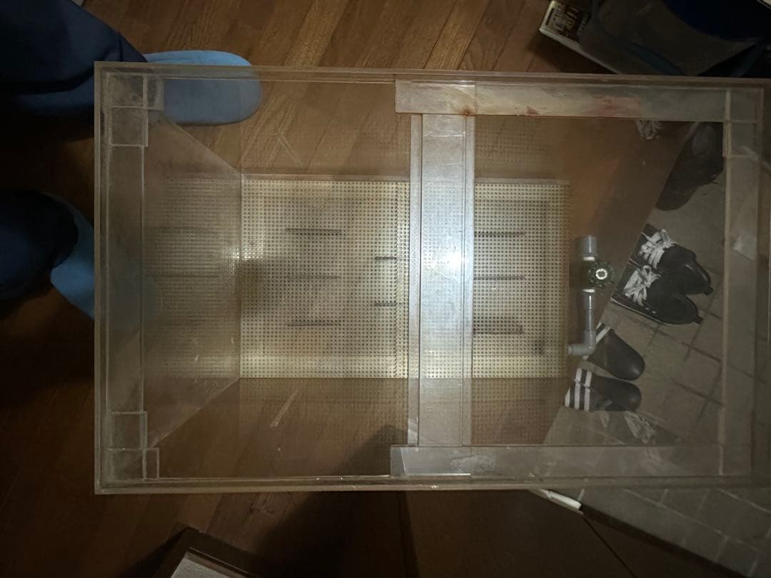 引き取り、90センチ、オーバーフローセット水槽です‼️