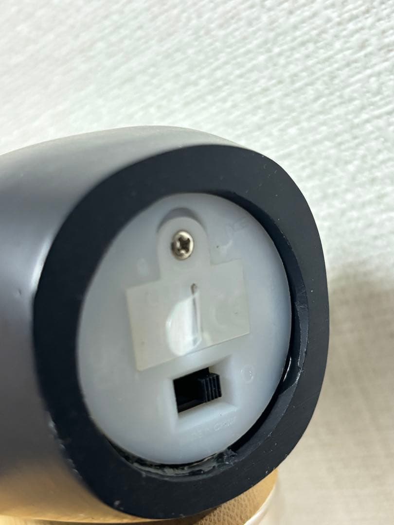 ホーンテッドマンション　オーナメント