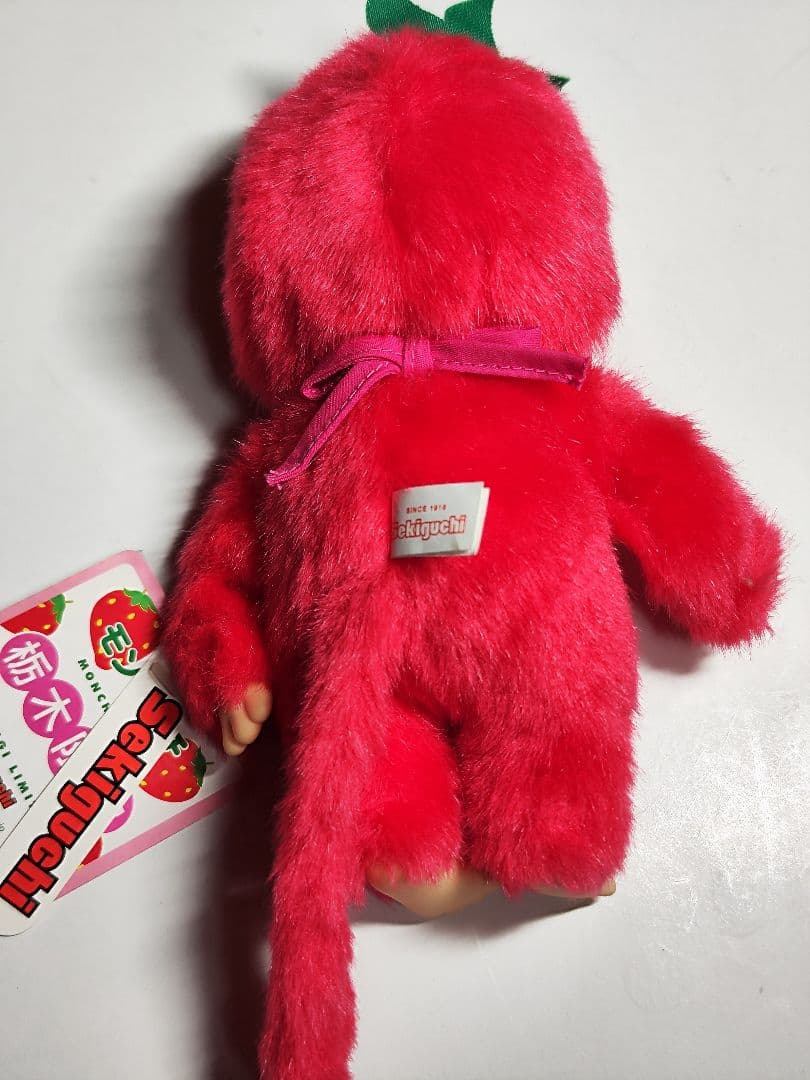 限定品モンチッチ 山梨モンチッチ 群馬限定 富士山モンチッチ 栃木モンチッチ