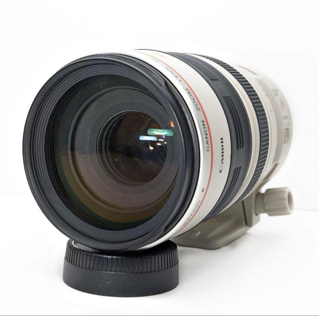 超望遠✨Canon EF 100-400mm L IS USM✨元箱・ケース付き