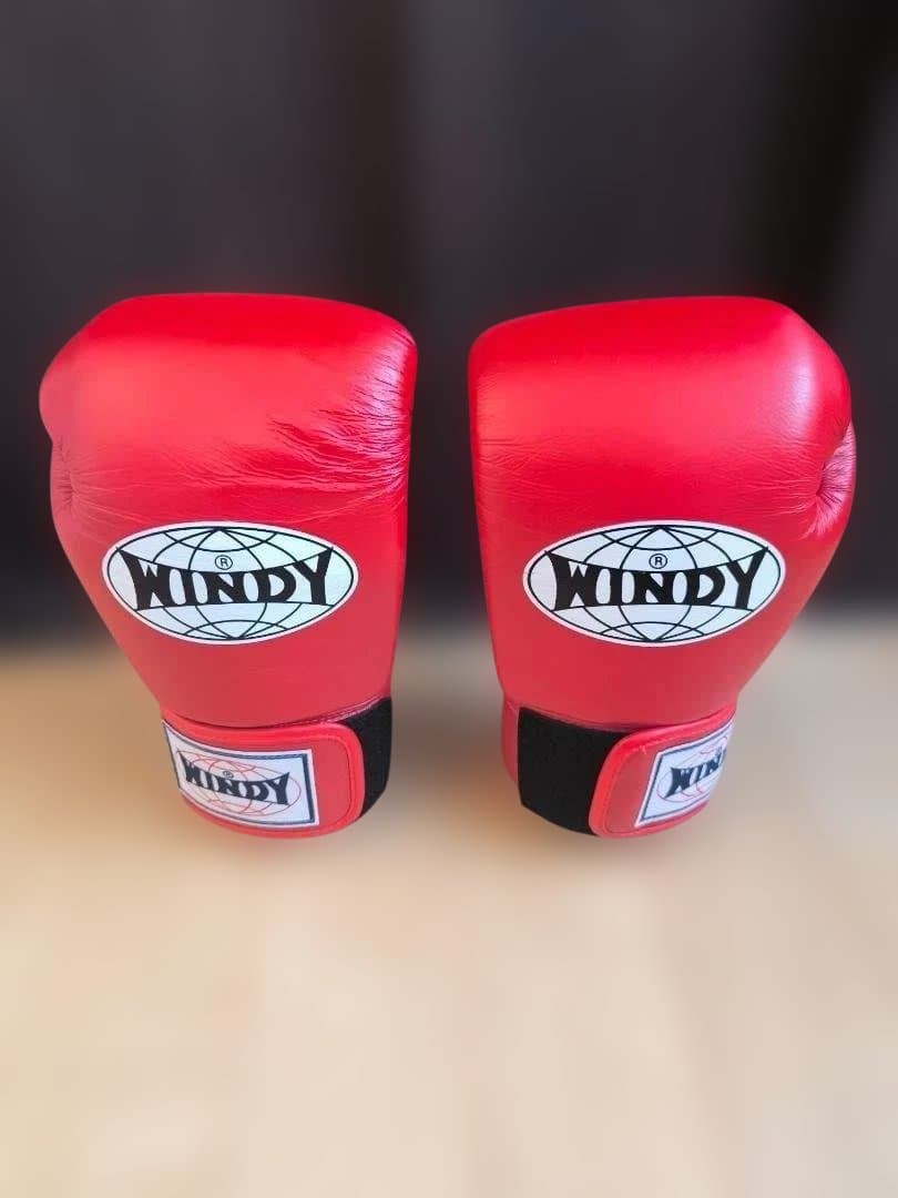 WINDY レッド ボクシンググローブ 12oz