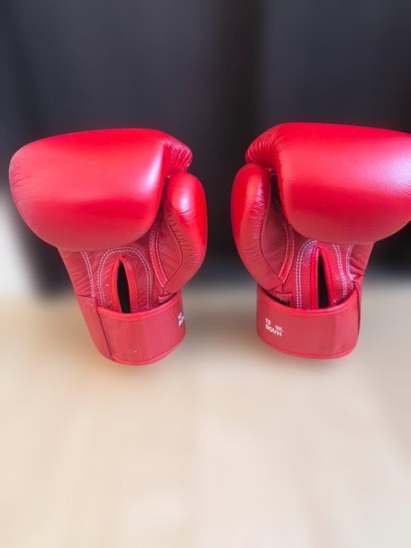WINDY レッド ボクシンググローブ 12oz