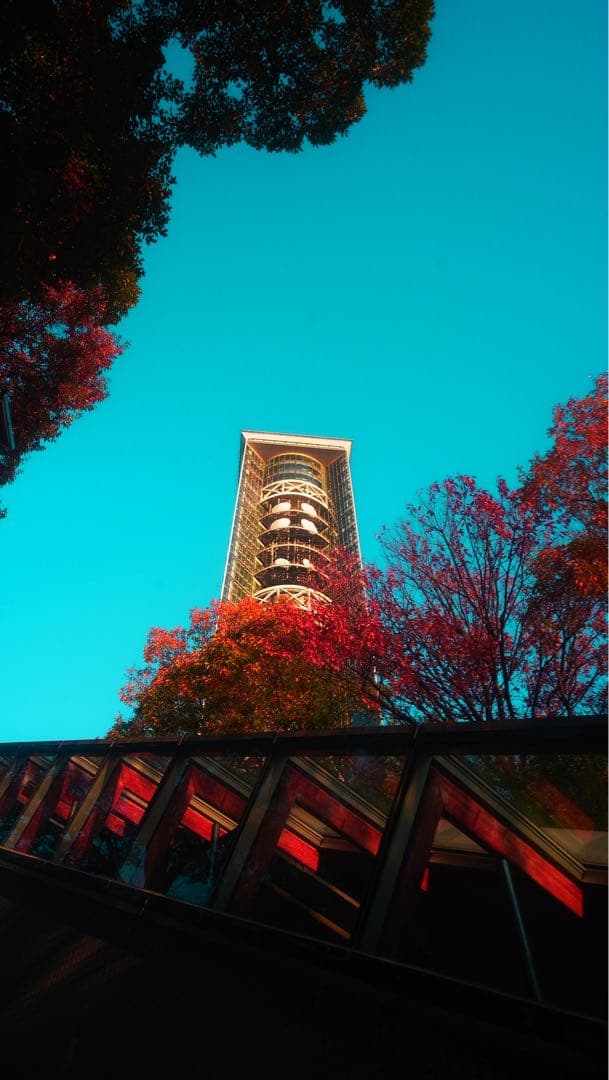 RICOH GXR 特別セット　作例あり❗️