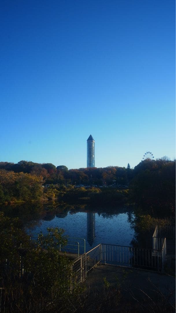 RICOH GXR 特別セット　作例あり❗️