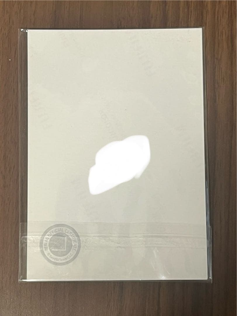 櫻坂 2025年 浴衣 生写真 向井純葉 座り 直筆サイン