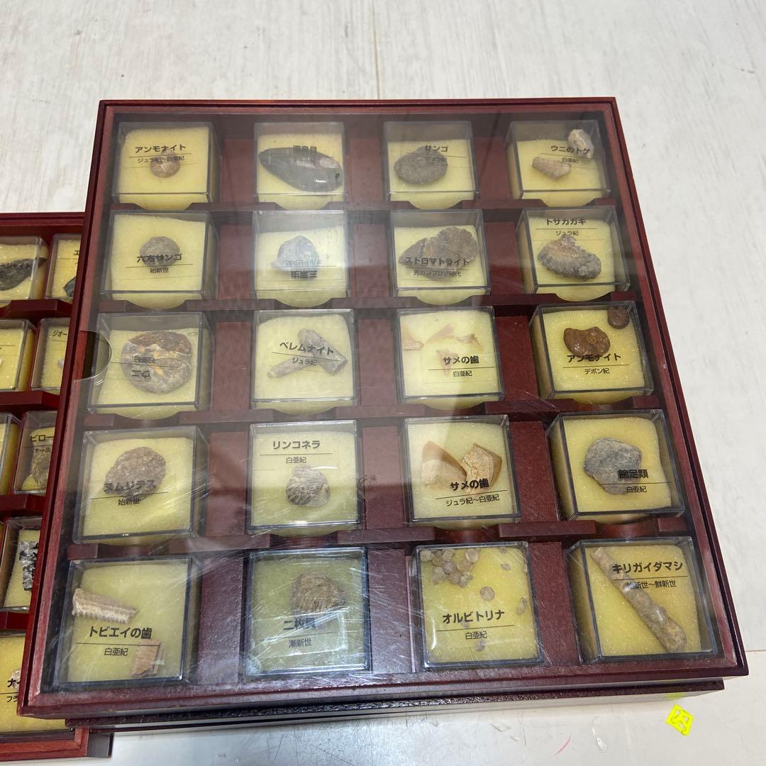 ディアゴスティーニ⭐️トレジャーストーン　鉱物　天然石　化石　標本　8箱