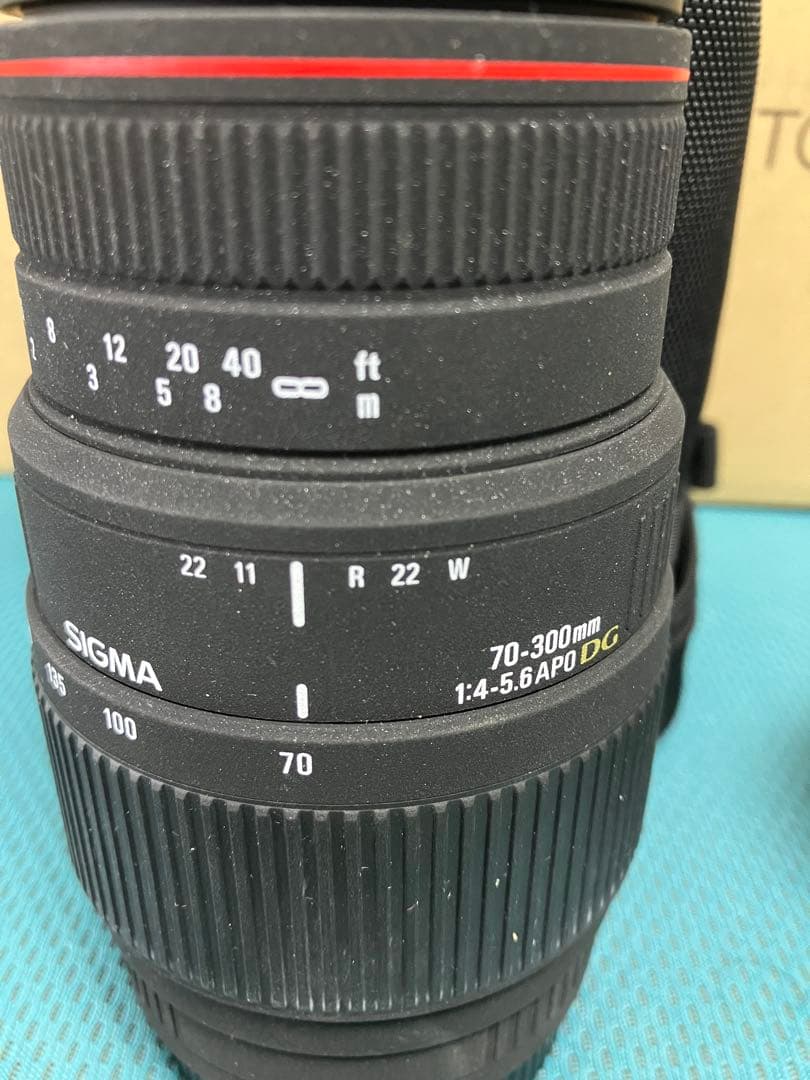 APO 70-300mm F4-5.6 DG MACRO (キヤノン AF)