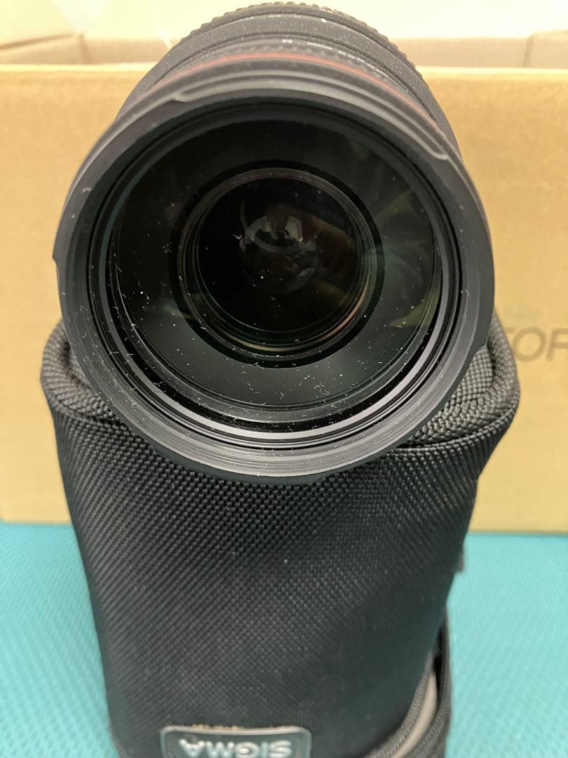 APO 70-300mm F4-5.6 DG MACRO (キヤノン AF)