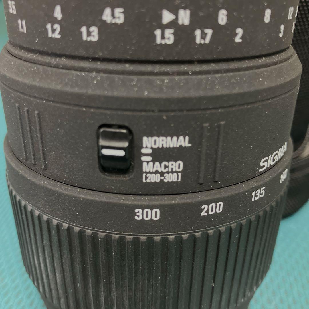 APO 70-300mm F4-5.6 DG MACRO (キヤノン AF)