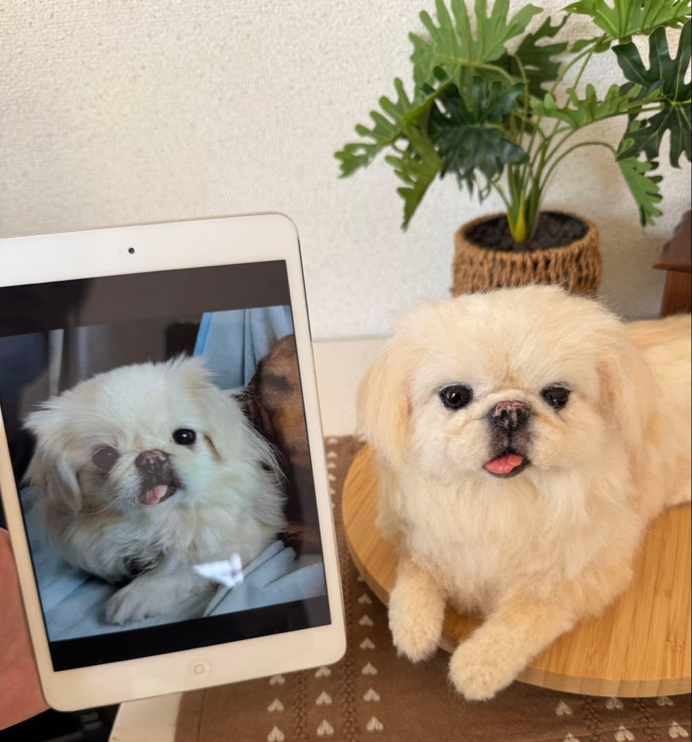 p*o様 わたわたペット　わんこ限定　分身の術　中サイズ　(20センチ程)羊毛フ