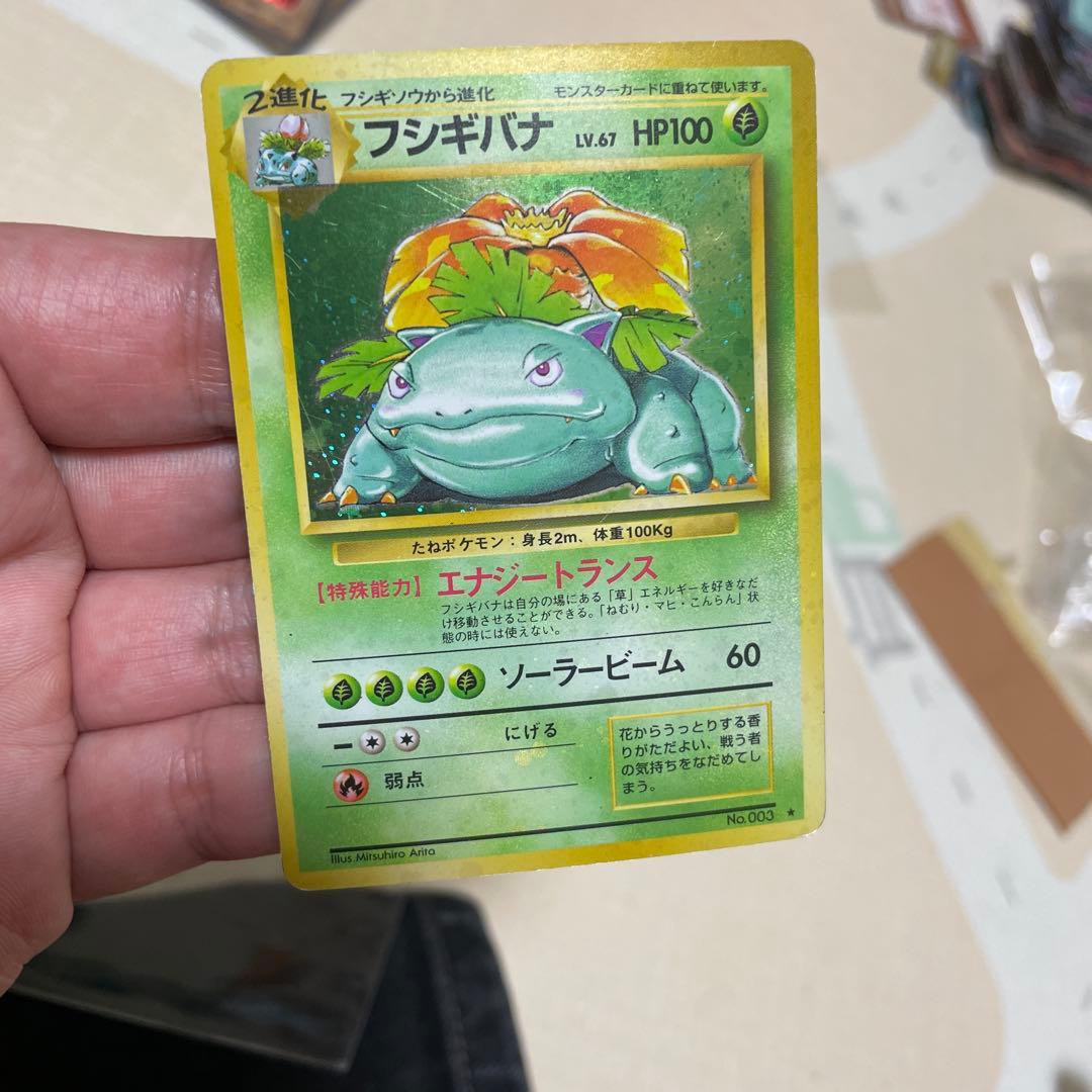 フシギバナ　旧裏　全面ホロ