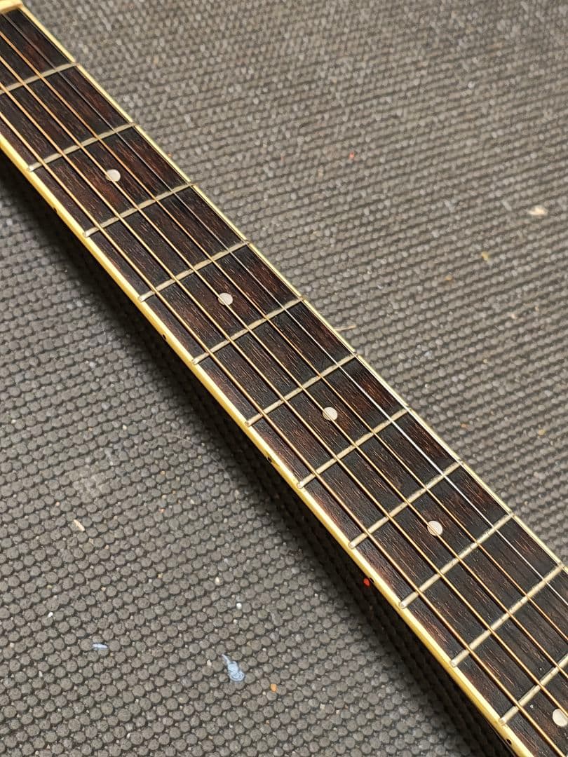 Morris S-20TS/エレアコ ソフトケース付