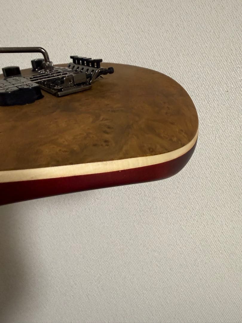 ギター EVH Wolfgang STD EXOTIC