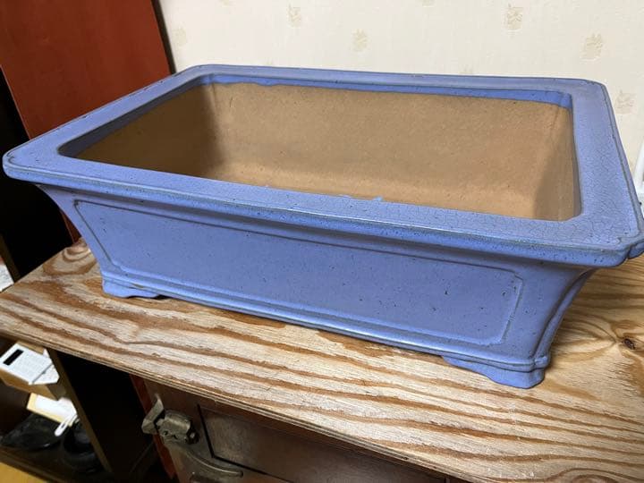 803 盆栽　盆栽鉢　植木鉢　中国鉢