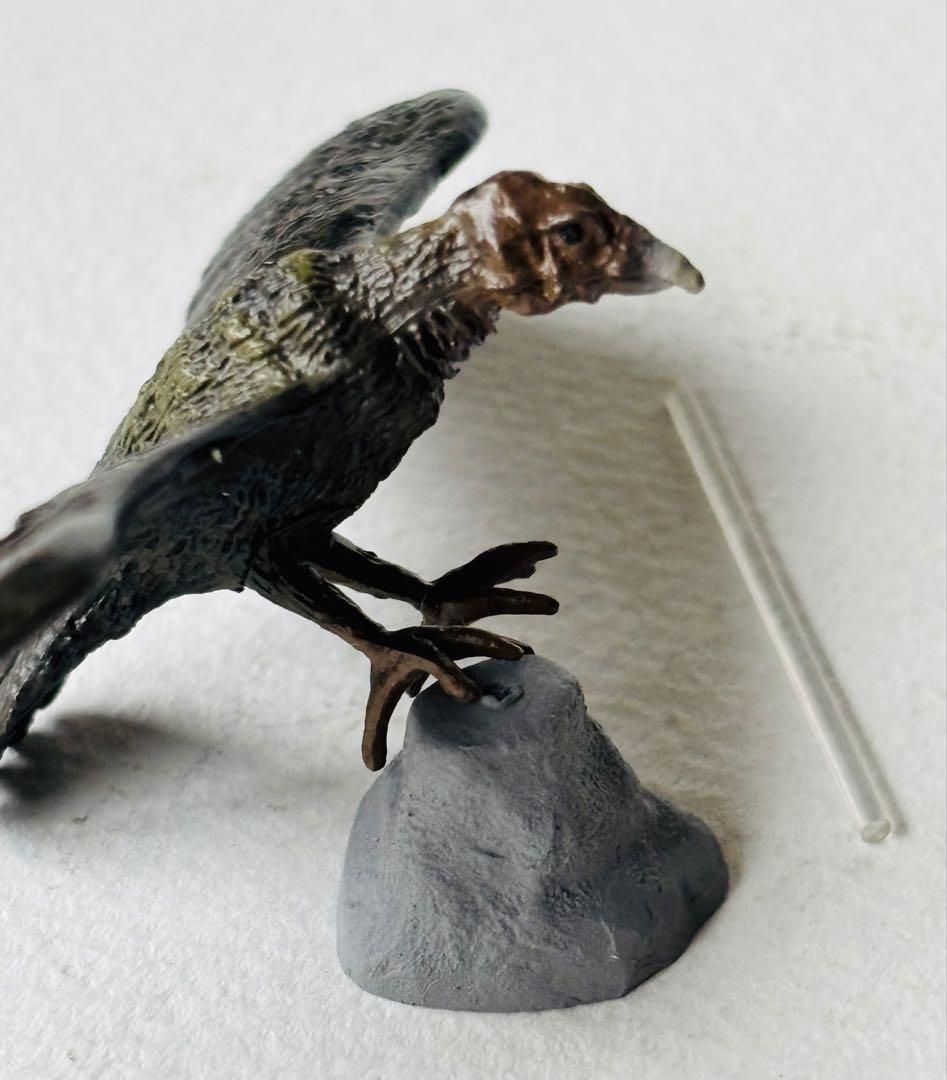 ゴジラ特撮大百科　12種セット