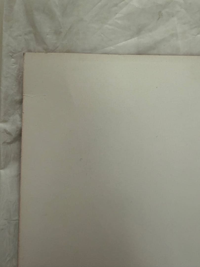 B'z LIVE-GYM 直筆サイン色紙　レア　稲葉浩志　松本孝弘