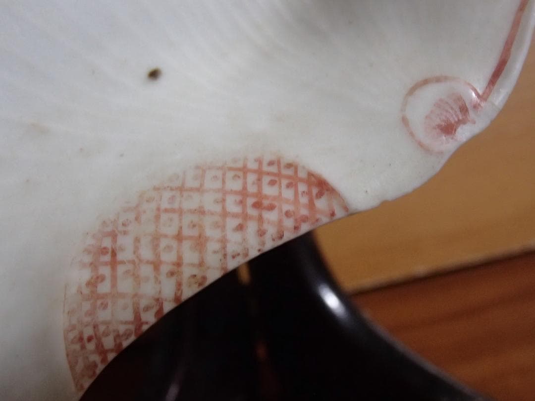 色絵　平貝形　小皿　古九谷　骨董