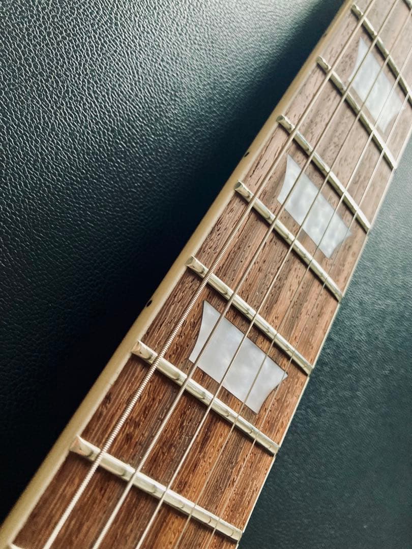 SGタイプ コンポーネントギター