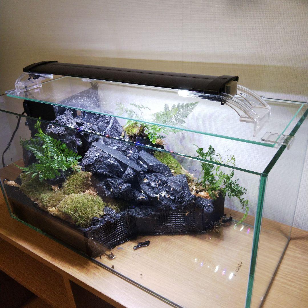 【受注生産】滝の流れるアクアテラリウム　イモリウム　苔　水槽　苔テラリウム