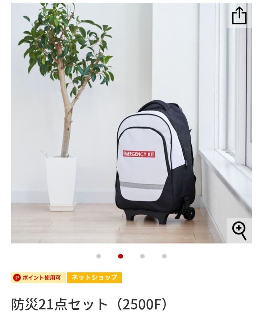 防災21点セット （2500F）