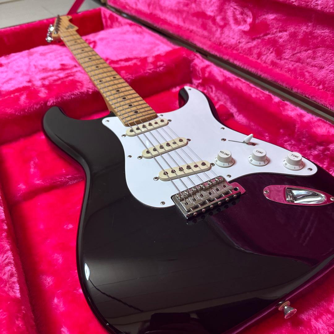 FGN J standard エレキギター 日本製 シングルコイル