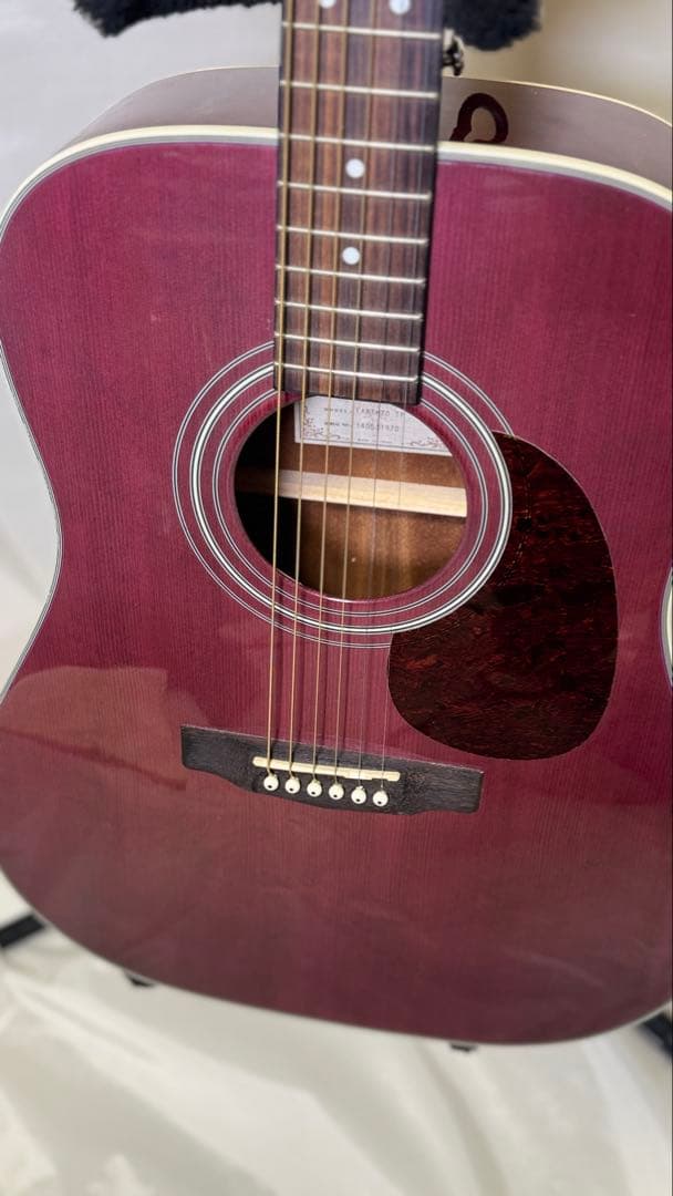 Cort アコースティックギター パープル