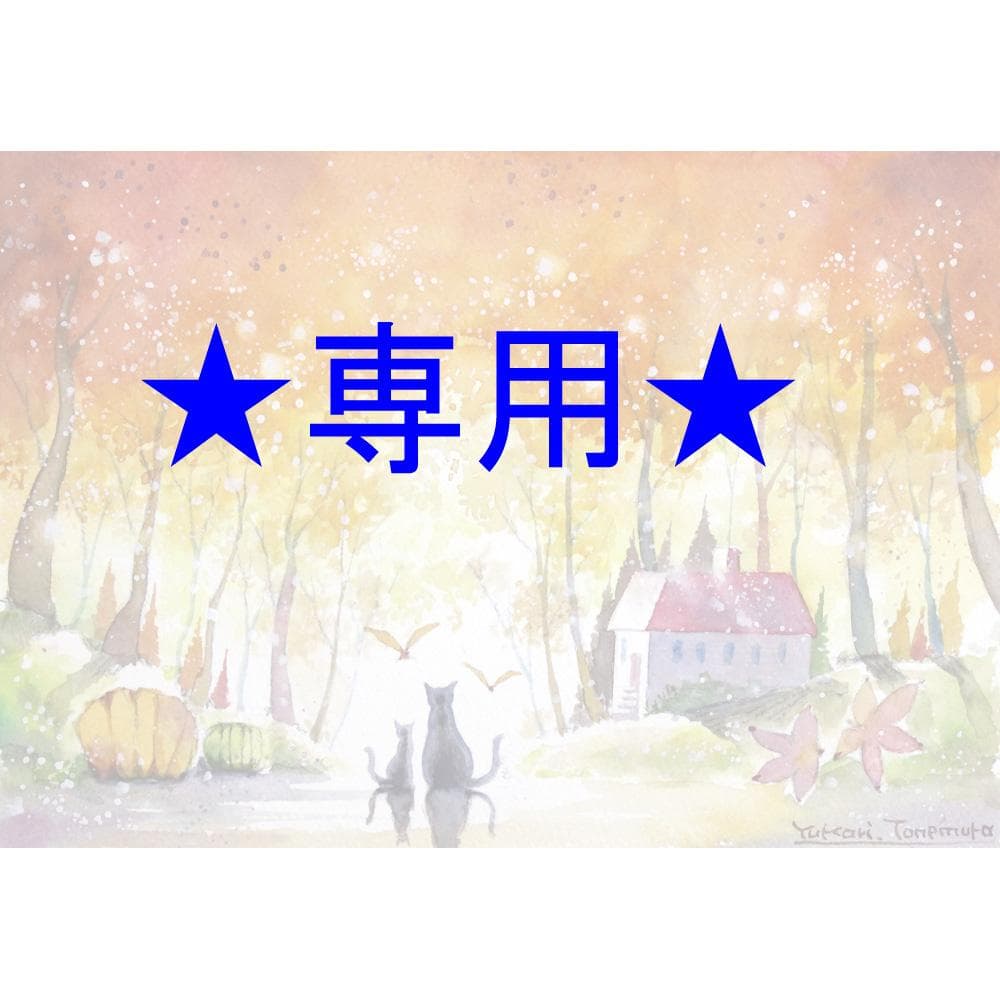 yu-to19さま専用 秋の彩の道 ほか　3点おまとめ