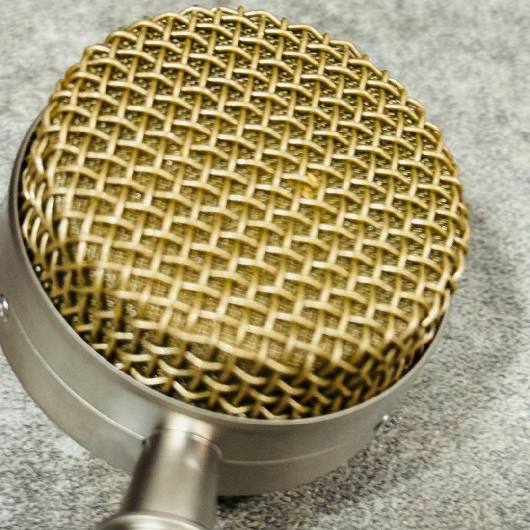 Blue Microphones Bluebird SL コンデンサーマイク