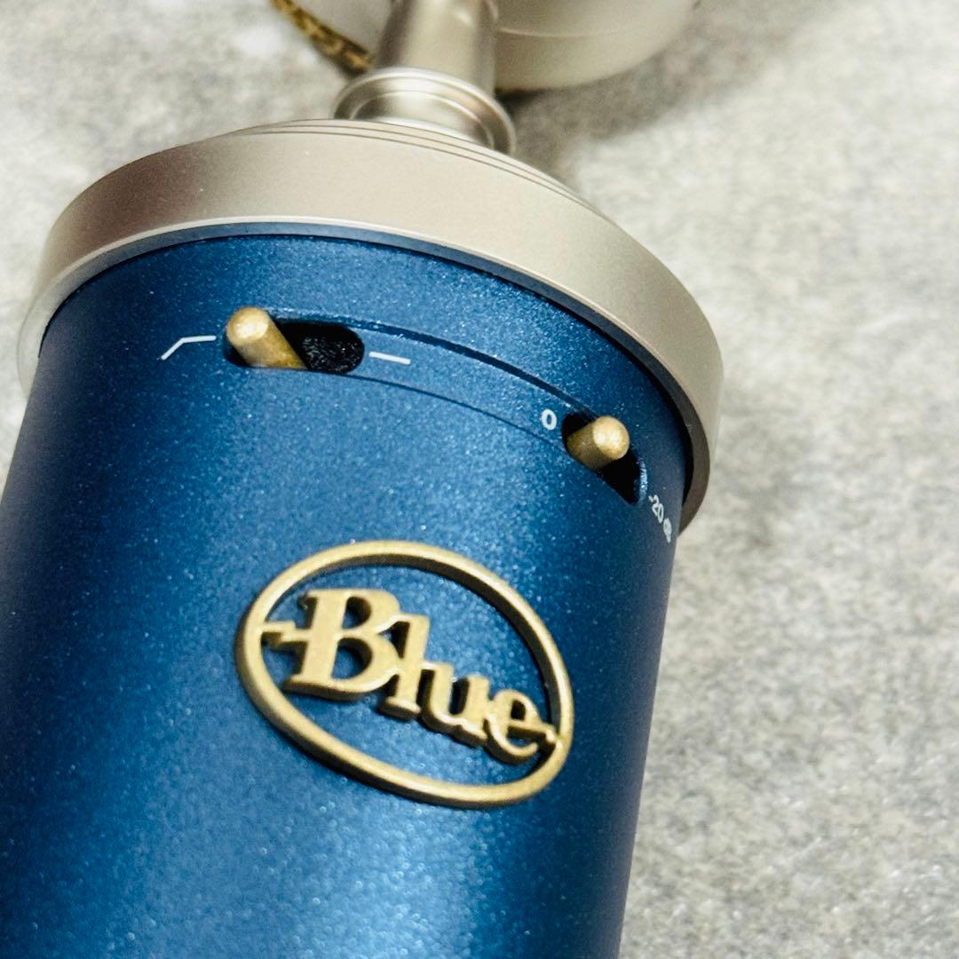 Blue Microphones Bluebird SL コンデンサーマイク