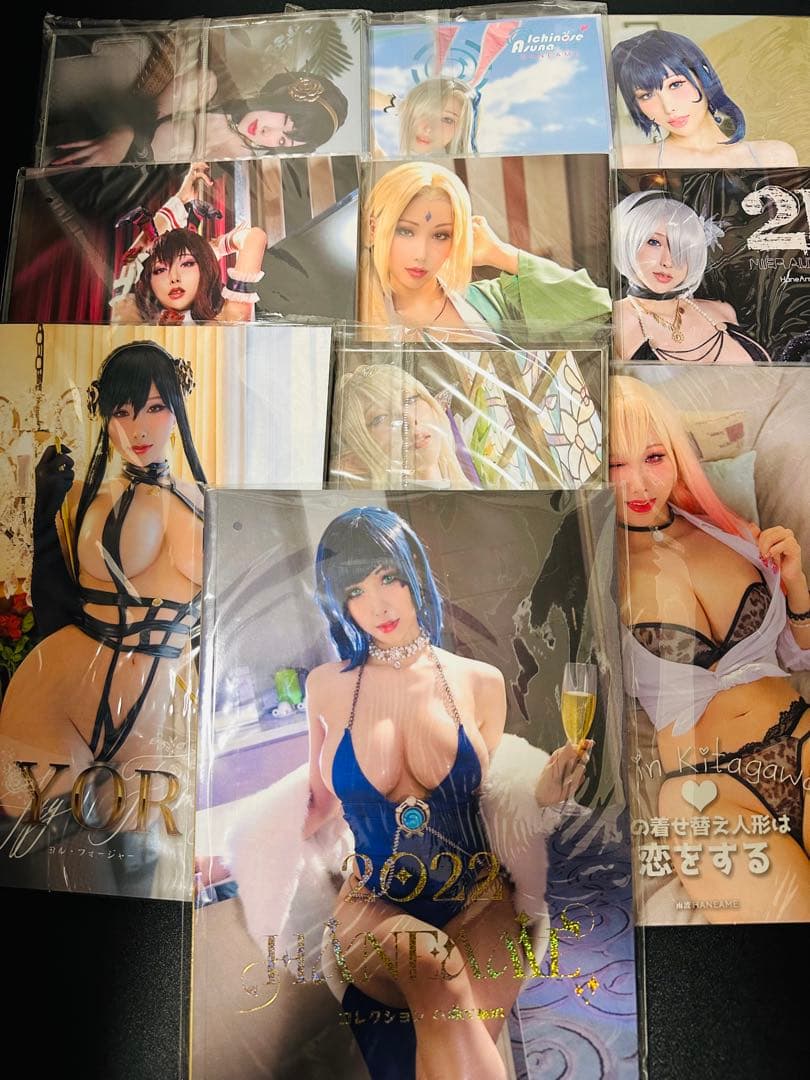 【未開封品】HaneAme 雨波 コスプレ写真集 まとめ売り