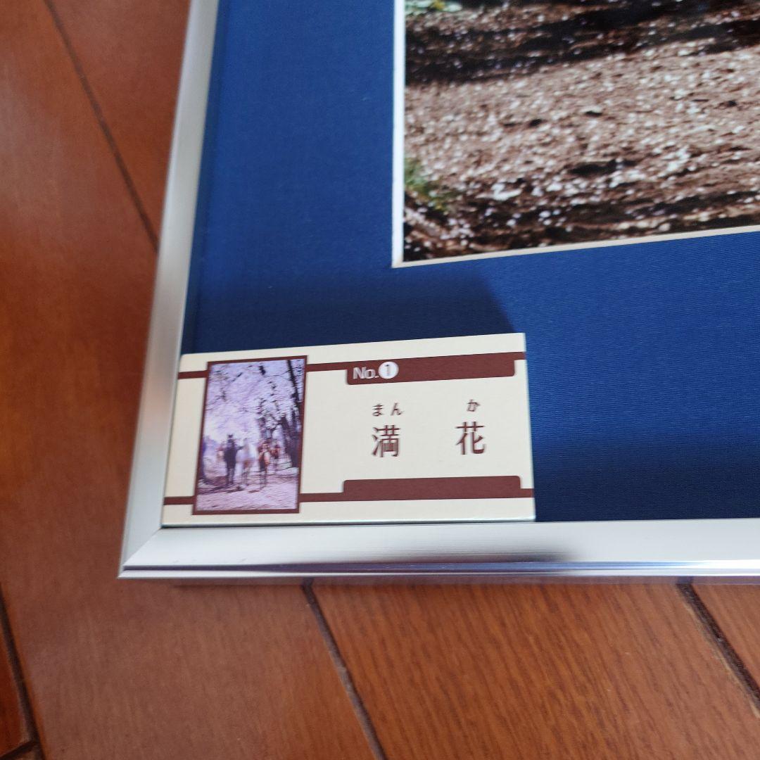 JRA　競馬　馬写真（額入り）　満花