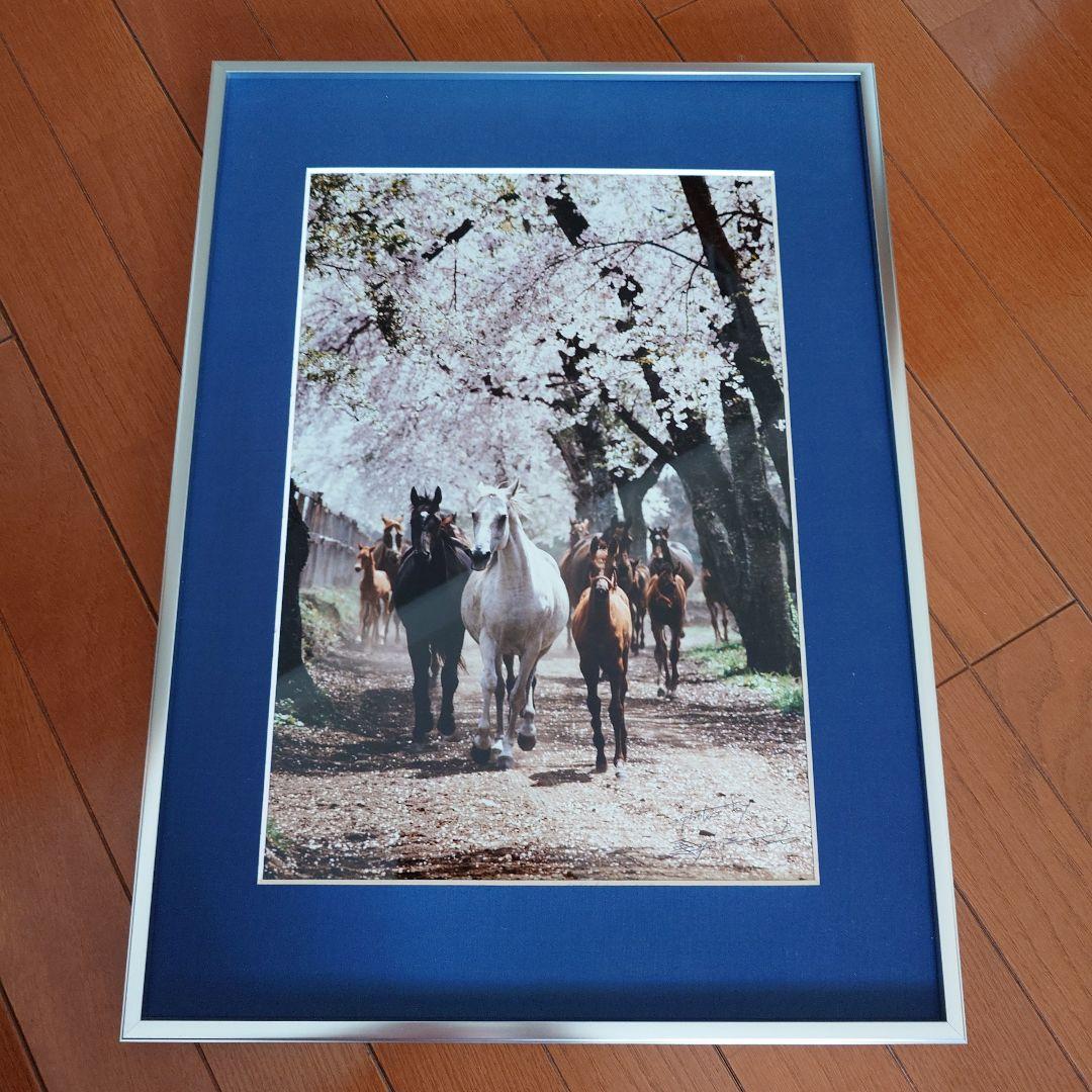 JRA　競馬　馬写真（額入り）　満花