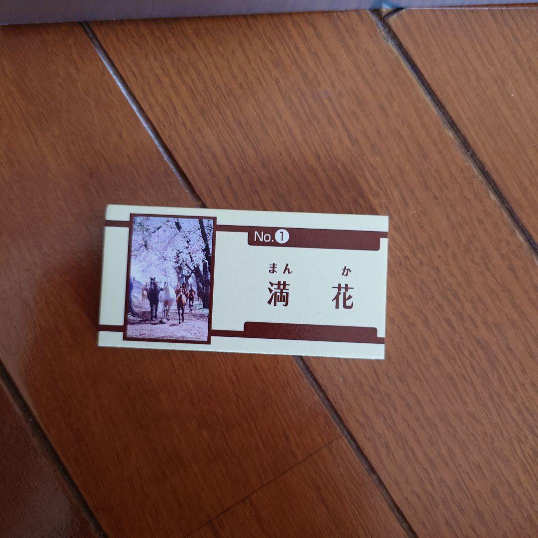 JRA　競馬　馬写真（額入り）　満花